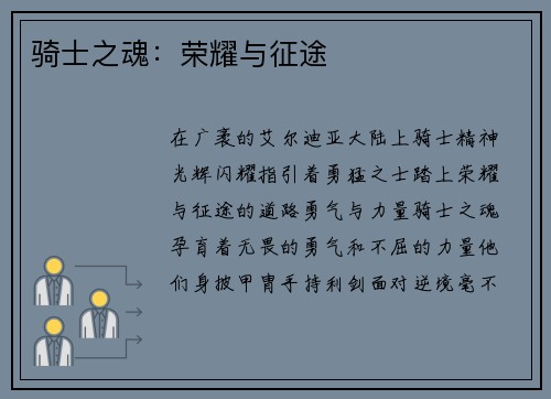 骑士之魂：荣耀与征途